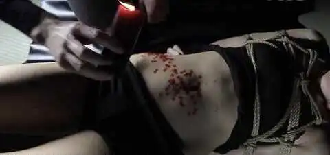 西檬之家-字母圈的TK是什么？BDSM新人入圈指南