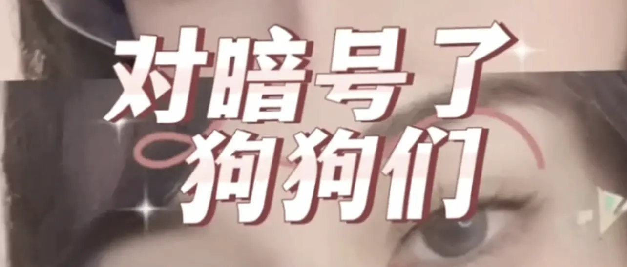 【西檬之家】BDSM新人指南：从术语解析到SSC原则安全实践