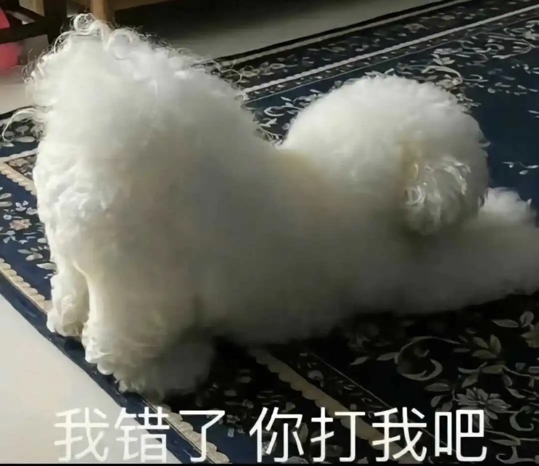 西檬之家-k8是什么？BDSM猫系角色全解析