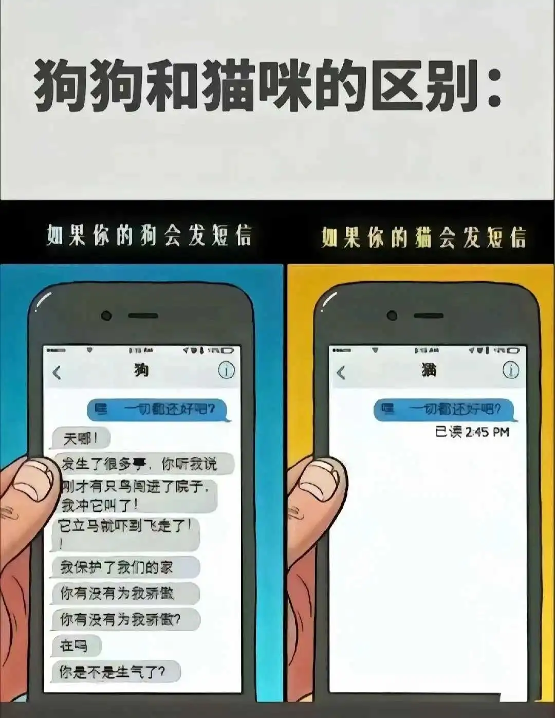 brat属性 - 微信图片_20250713011414