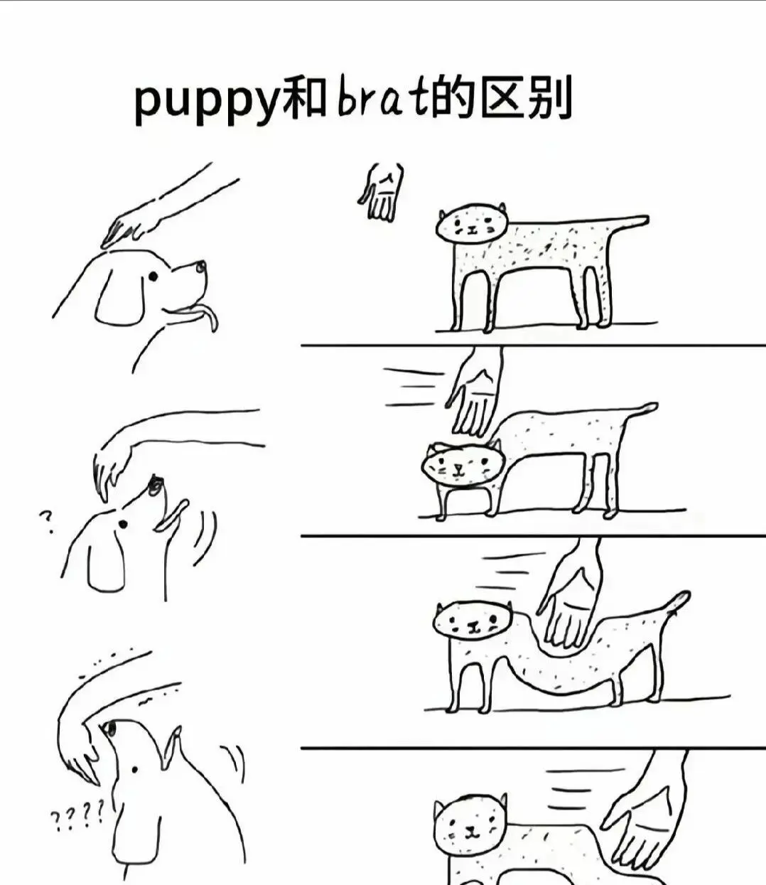 字母圈 - 微信图片_2025-11-13_180940_765