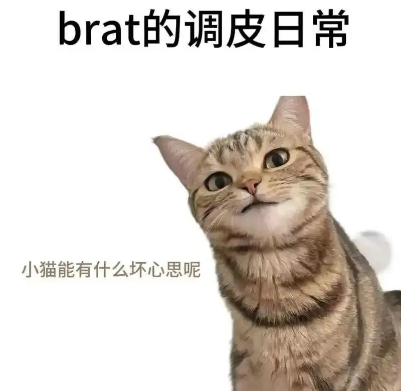 SM亚文化：实用指南