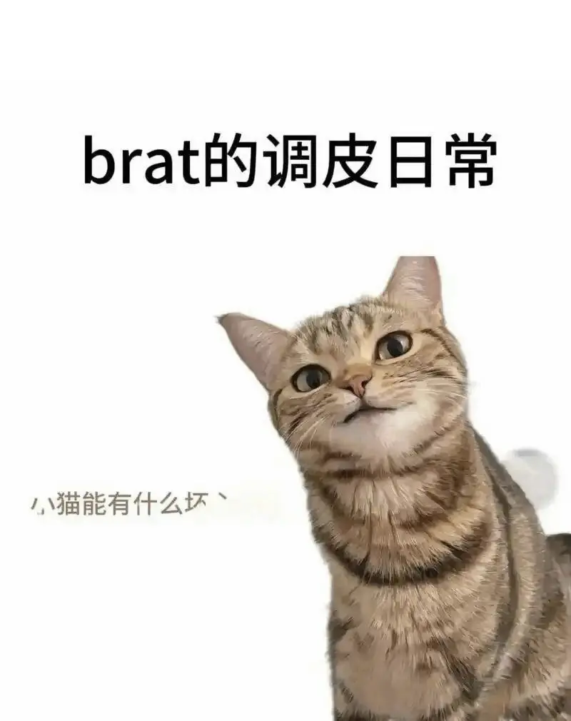 M倾向 - 2025-11-13 192048